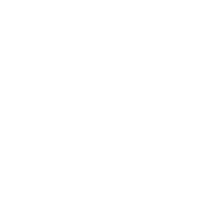 leonus-logo-hp