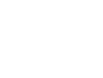 logo_leonus_finance_02_2019_bile-bez-okraju